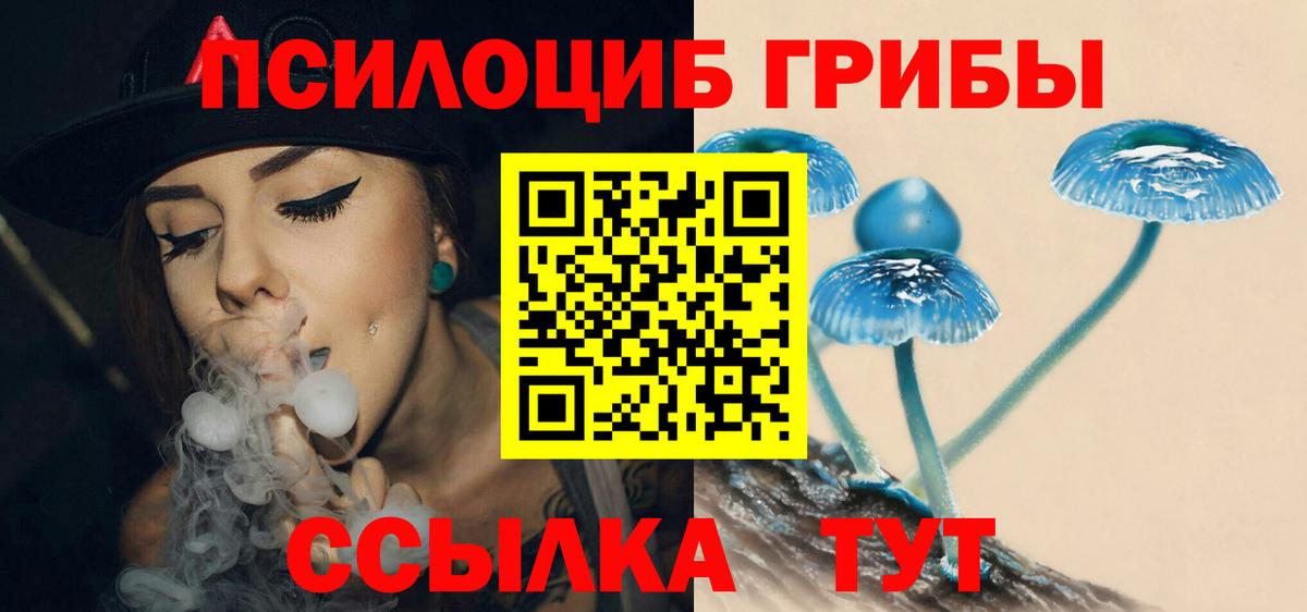 Псилоцибиновые грибы Psilocybine cubensis  Вход с VPN  Трёхгорный 